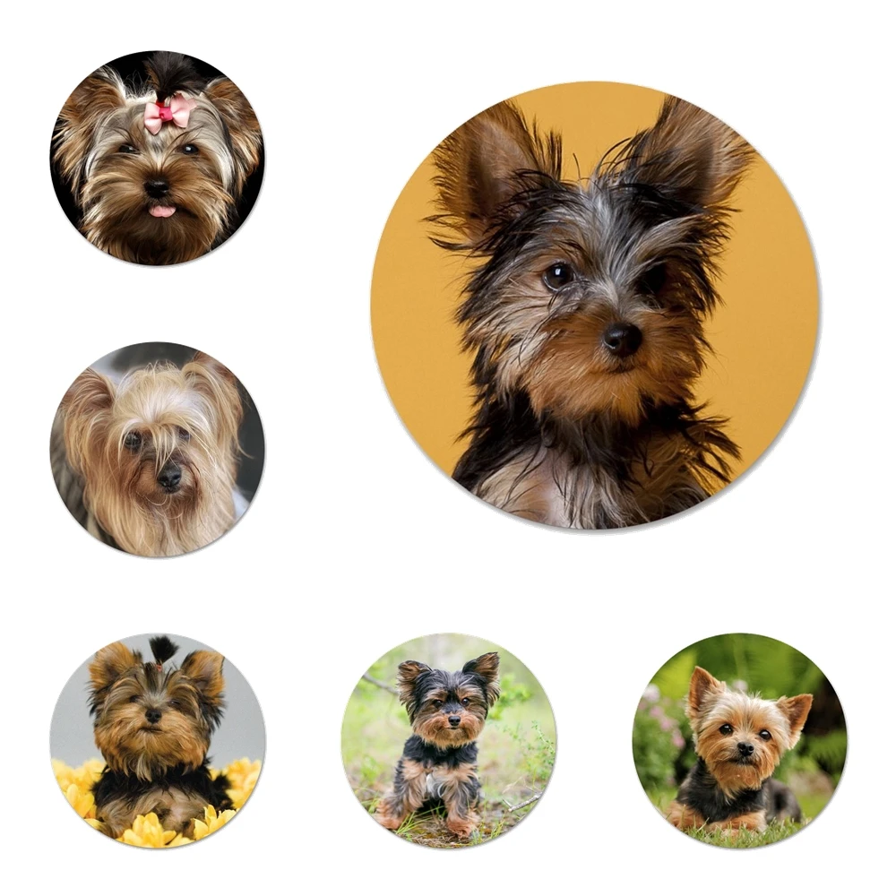 

Значок с собакой йоркширского терьера, значки, металлические значки для украшения одежды и рюкзака, 58 мм