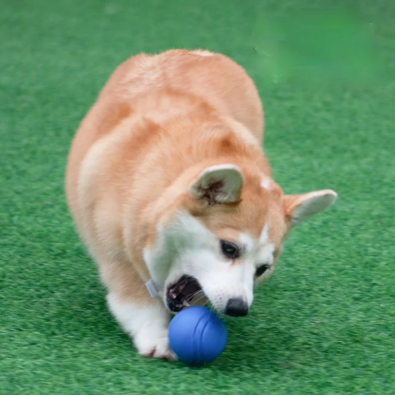 

5-8CM Pet Dog Toys Dog Ball Rubber Ball for Dog Chew Toys for Small Medium Large Dog Training Toys for Puppy Dog Supplies