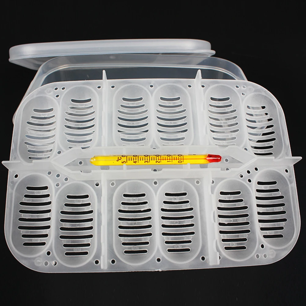 Holes Reptile Egg Incubation Tray Gecko Lizard Snake Eggs Tool Insect keeping box Drop Shipping | Дом и сад