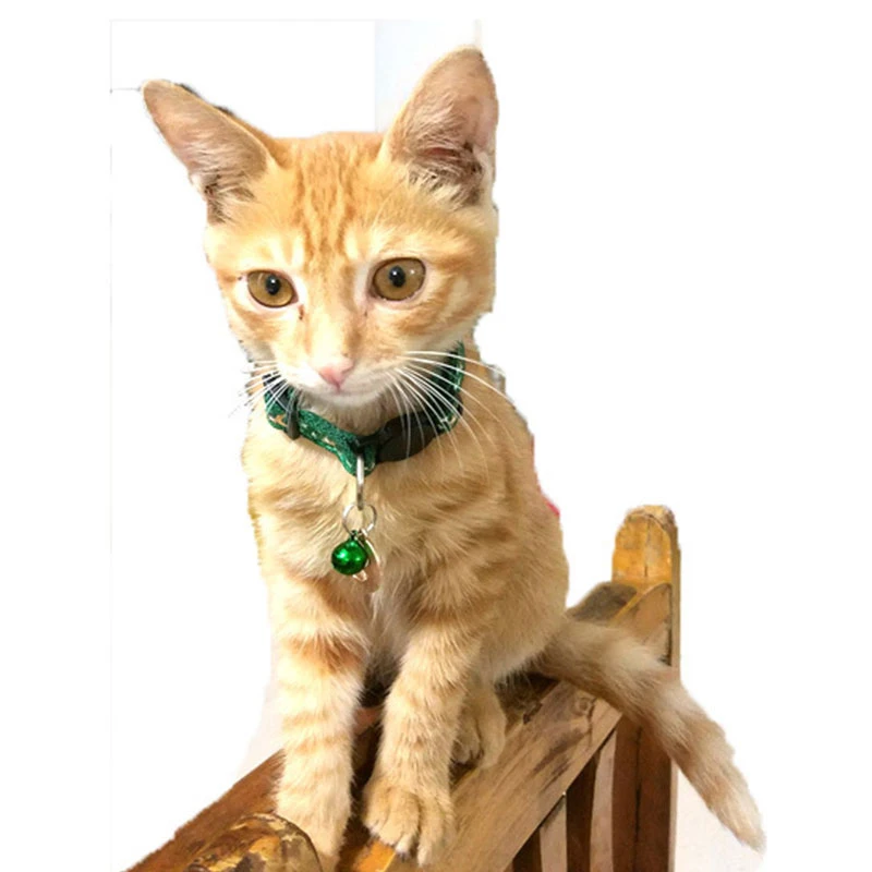 Ошейник для кошек с принтом луны и звезд колокольчиками отрывом в виде