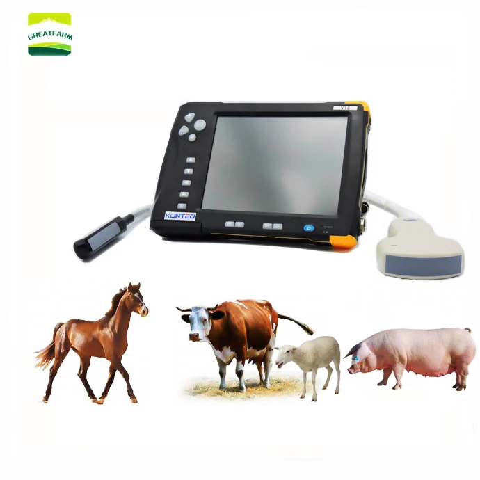 

Popular 7 Inch LCD Screen Waterproof Portable Veterinary Ultrasound Scanner 8GB Memory Livestock Ultrasound Machine for goats