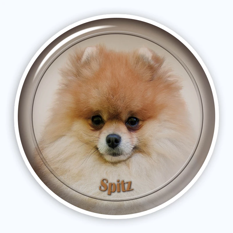 

A0683# Various Sizes Removable Decal Spitz 88 Sticker Waterproof Accessories on Bumper Rear Window Laptop