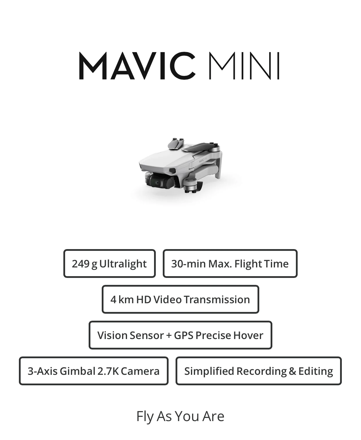 DJI Mavic мини-Дрон с 2,7 k камерой время полета 30 минут вес 249 г в