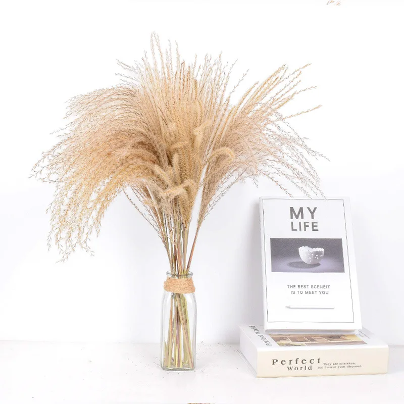 

10/20/30 Pcs Small Pampas Grass Decor Natural Dried Reed Wedding Decoration Natural Village Reed Art Dried Flower Home Ornament