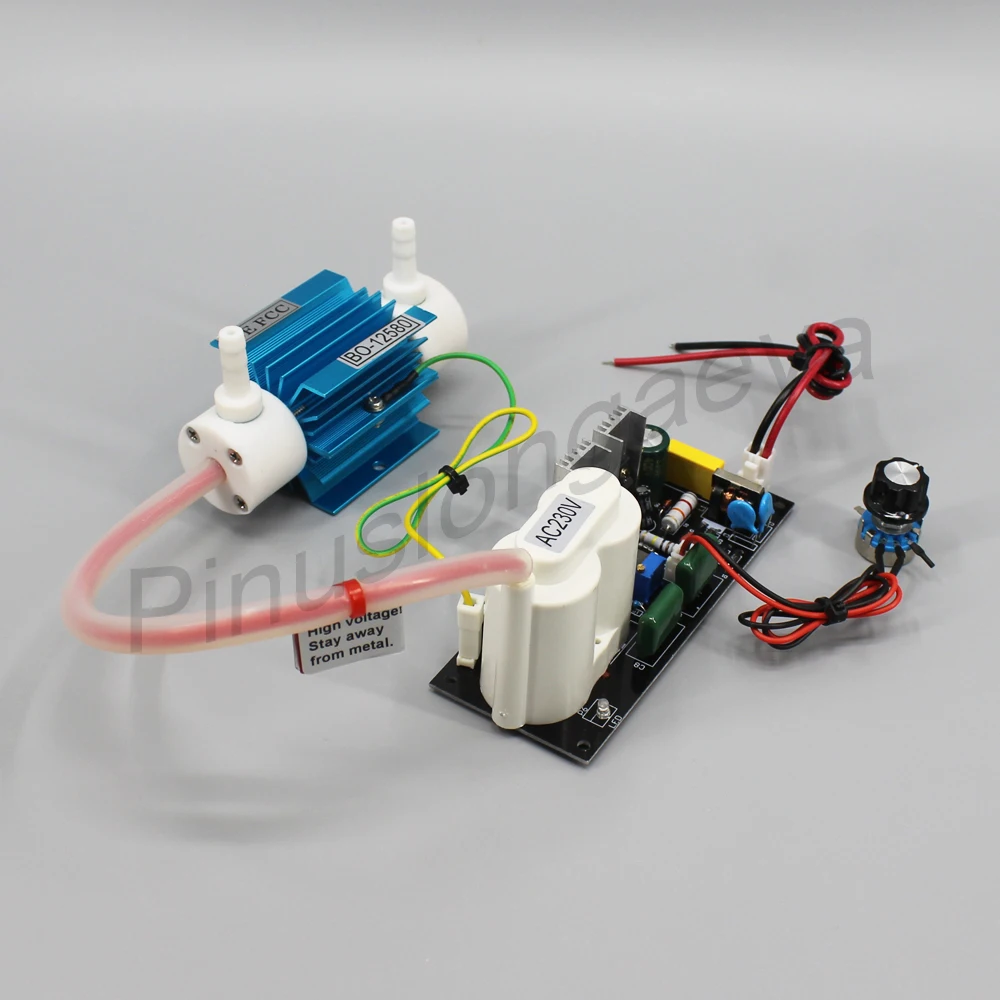 

Pinus longaeva 1 Гц/ч 1 грамм 1000 мг Регулируемая кварцевая трубка типа генератора озона комплект генераторов озона части озона трубки и озона PSU