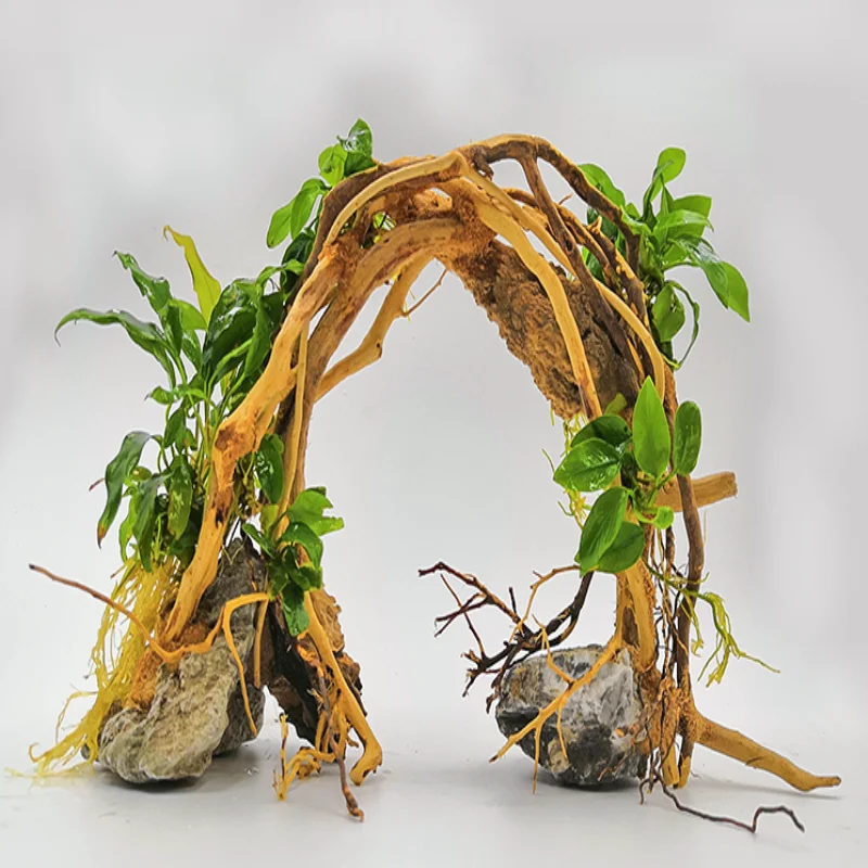 Driftwwood Аквариум Ландшафтный Лес Дерево в мох дерево трава бак камень Горшечное растение маленький Рододендрон корень DIY бонсай