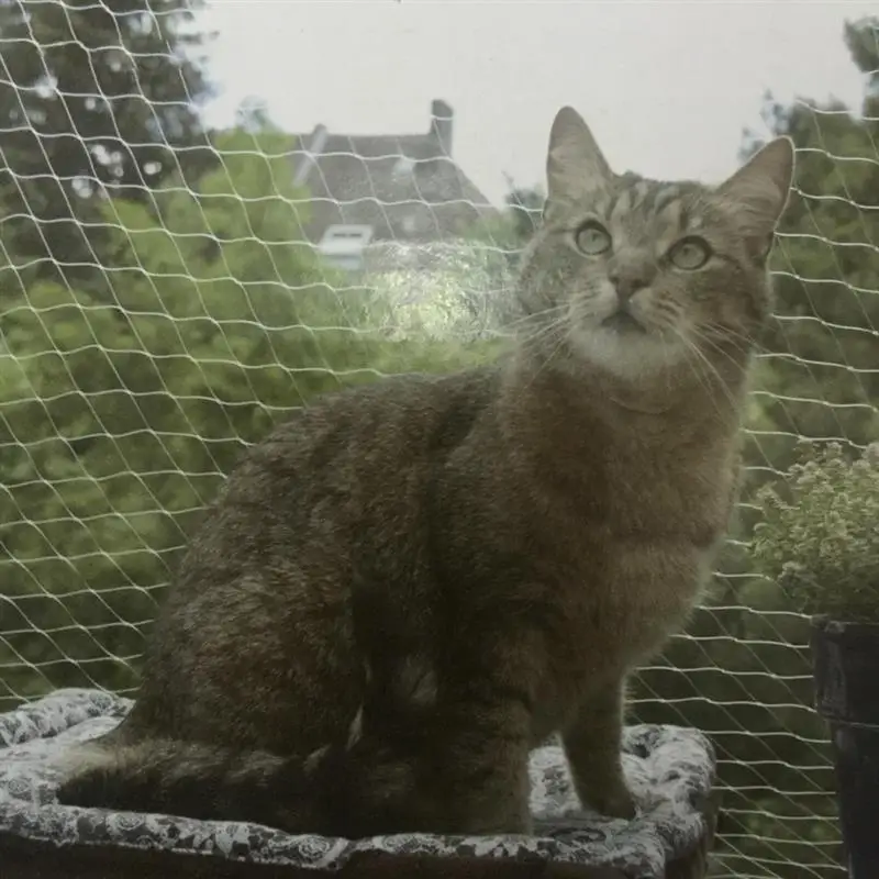 Сетка для домашних питомцев 8x3 м нейлоновая сетка защиты от УФ излучения балкона