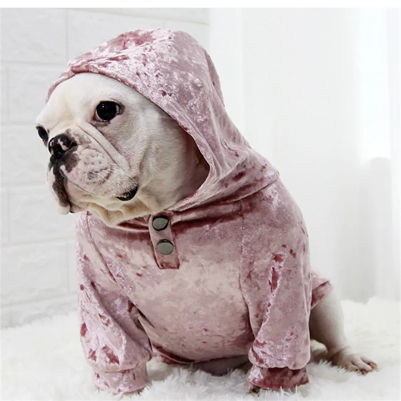 Одежда для собак толстовка с капюшоном одежда на весну осень лето кот чихуахуа