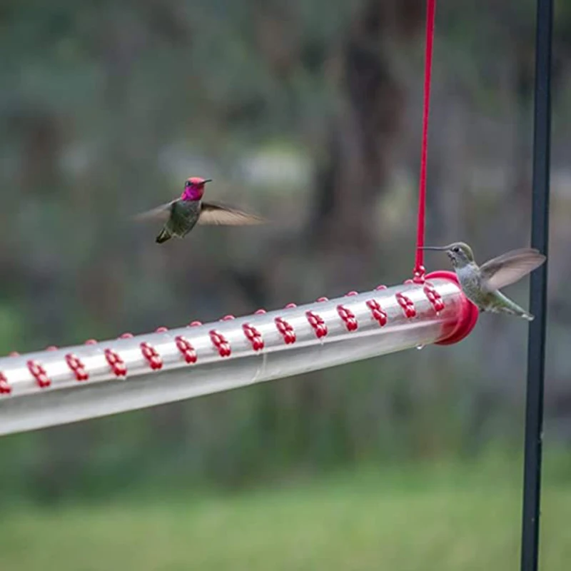 

Hanging Bird Feeder with Holes Transparent Feeding Pipe Finches Bird Feeder Outdoor Garden Window Decoration