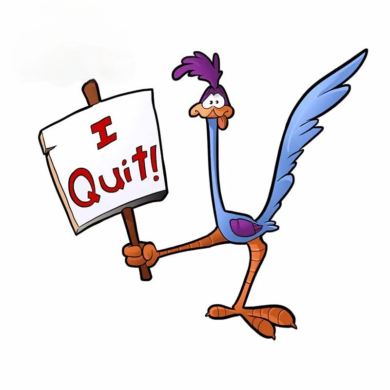 

Car Stickers Road Runners for Windows Covered Windshield Bumper Motorcycle Helmet Decal KK Vinyl Cover Scratches Waterproof PVC