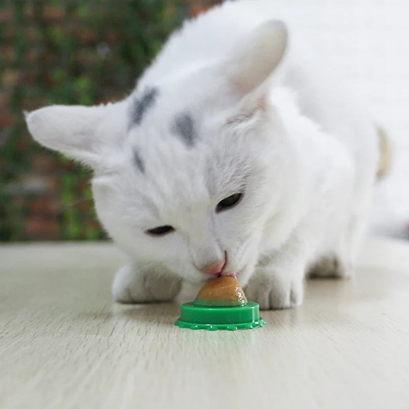 

Cat Solid Nutrition Energy Ball Long-Term Consumption Effect Cat Mint Sugar Cream Nutrition Healthy Candy Licking Snack Toys
