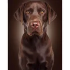 Набор для алмазной вышивки 