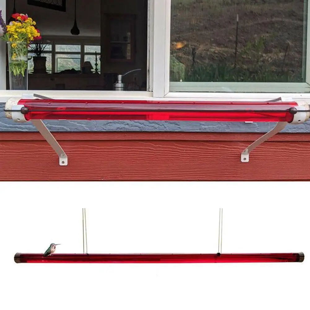 

Bird Feeding Supplies Hummingbird Feeder 40cm Length Eazy To Clean Receive Visits From Hooded Orioles 2021 Hot Sale