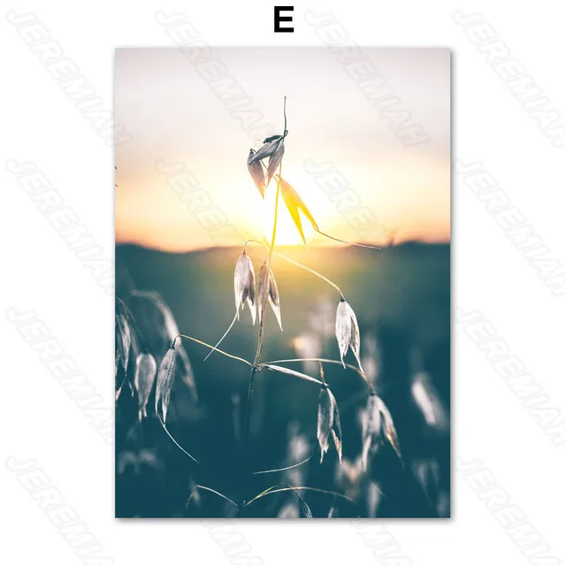 

Sunset Plant Flower Landscape Poster Nordic Style Wall Canvas Canvas Print Painting Children's Bedroom Decoration