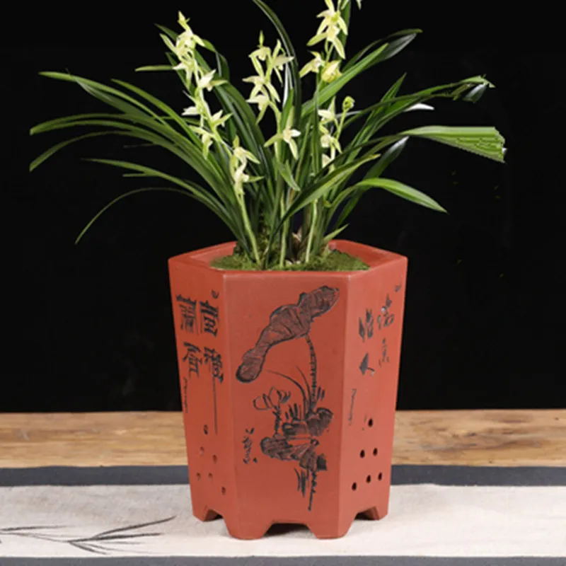 Фиолетовый цветок Clivia горшок орхидеи специальный Кливия дышащие высокого класса