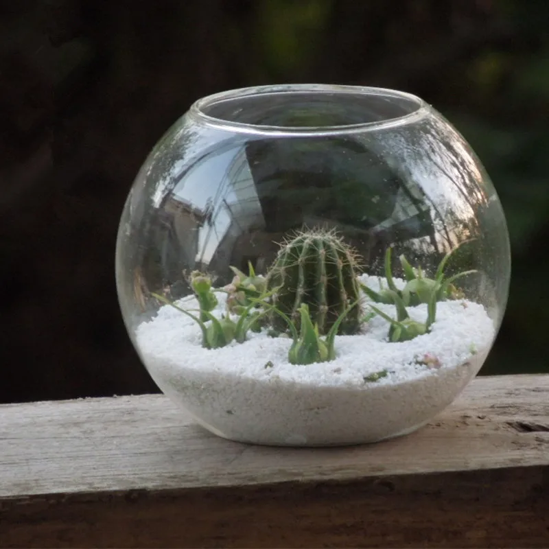 8 шт./упак. Диаметр = 20 см большой Размеры плоской подошве открытый носок Стекло