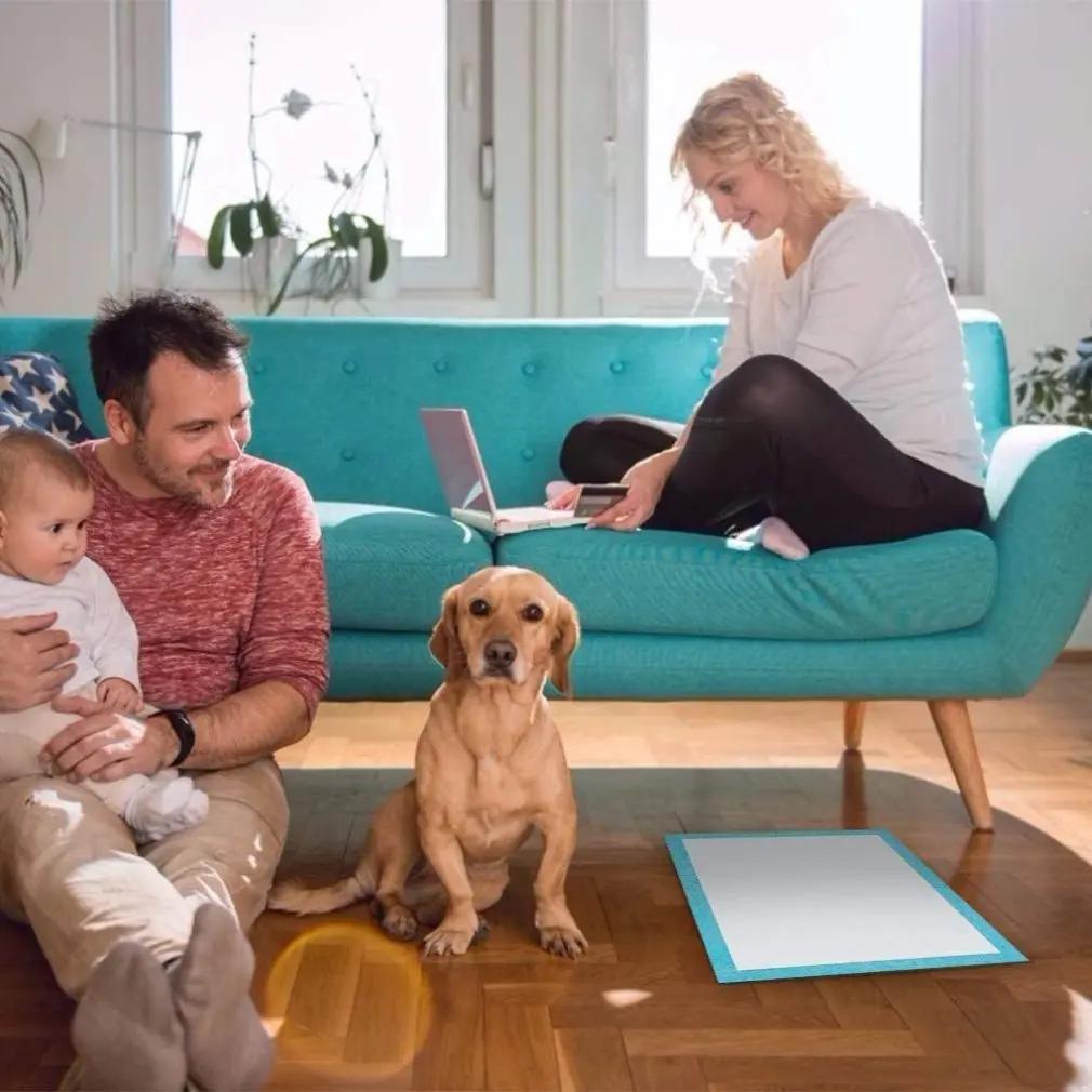 

Pet Training Pads Puppy Pad Train For House And Outing Training pad Disposable Quick Dry No Leaking Pet urine pad