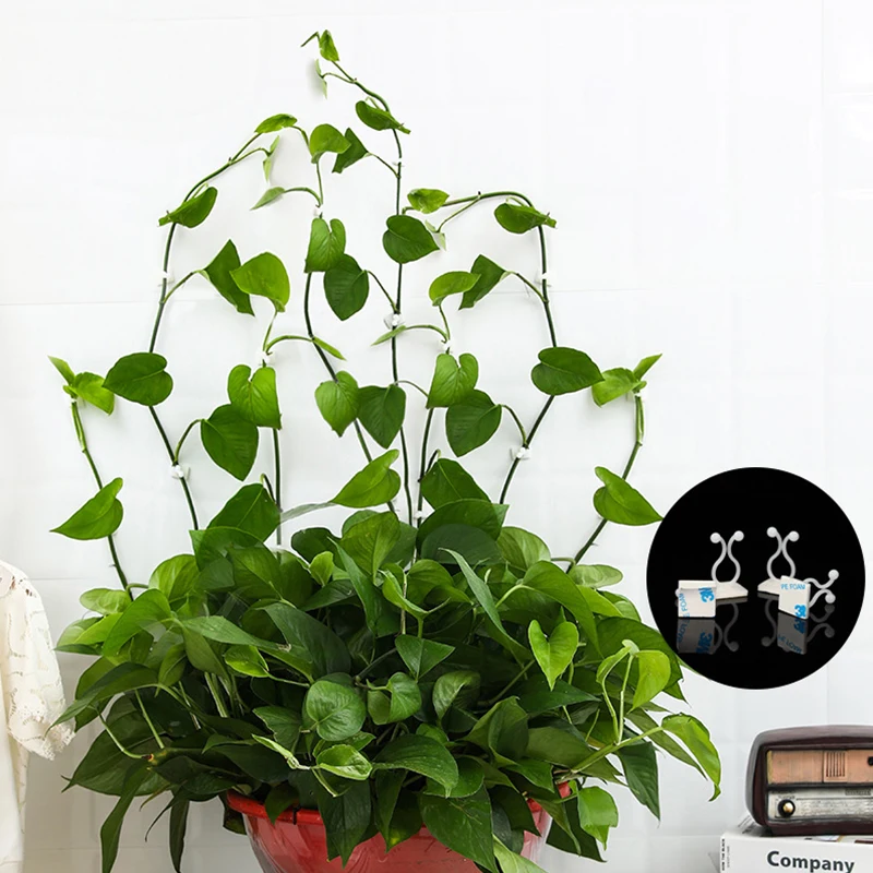 

Plant Climbing Wall Self-Adhesive Fastener Tied Fixture Vine Buckle Hook Garden Plant Wall Climbing Vine Clips Fixed Buckle Hook