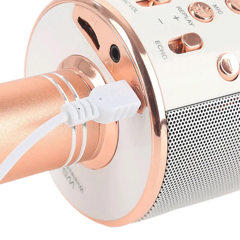 Portable WS-858 Bluetooth Wireless Microphone Handheld K song USB Mini Home KTV Music Player Singing Speaker | Электроника