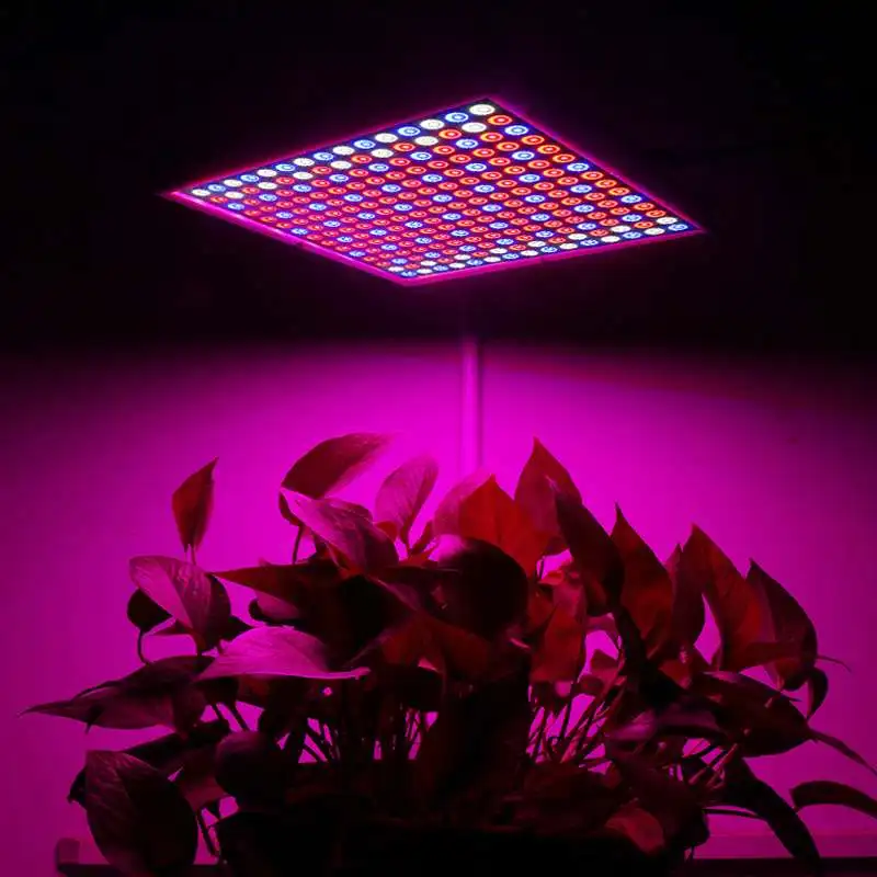 

2000