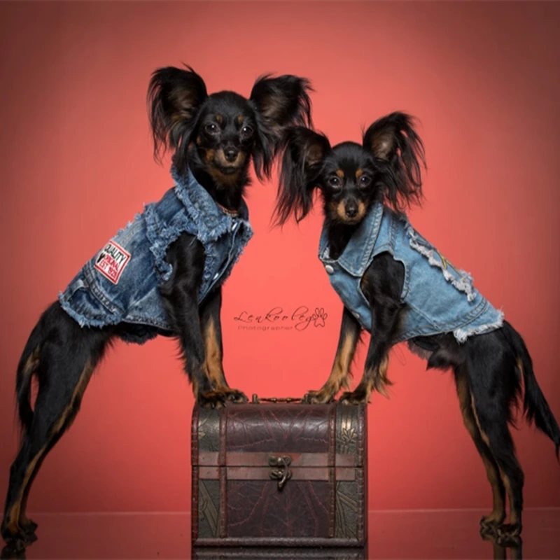 Одежда для домашних животных ковбойская одежда маленьких собак модная худи