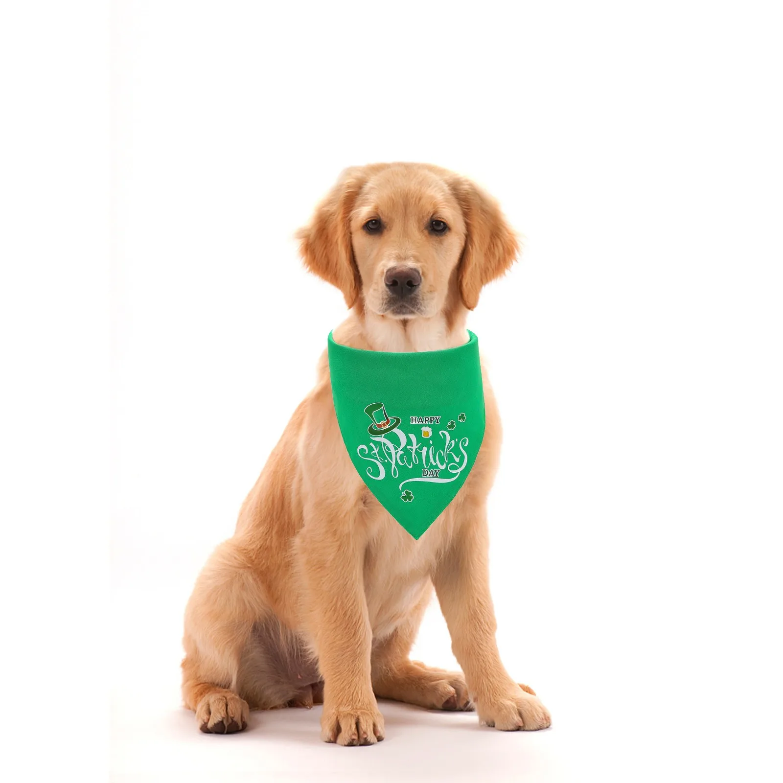 В стиле Св. Патрика День Святого Валентина собака одежда для купания и нашивками