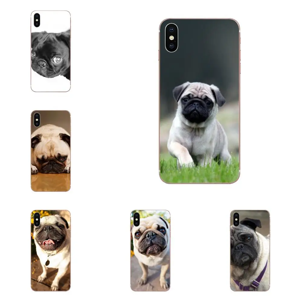 Чехол для сотового телефона с красочным дизайном забавный мопс собака iPhone 11 Pro Max