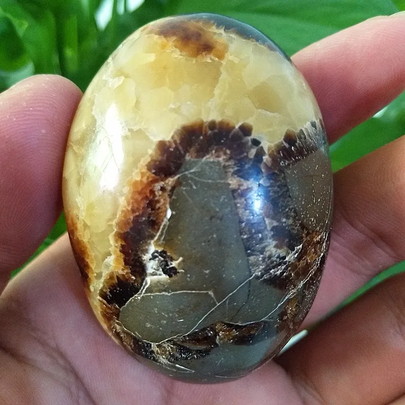 

Natural stone septarian ceystal palm healing crystals Decorative collection stones and crystals