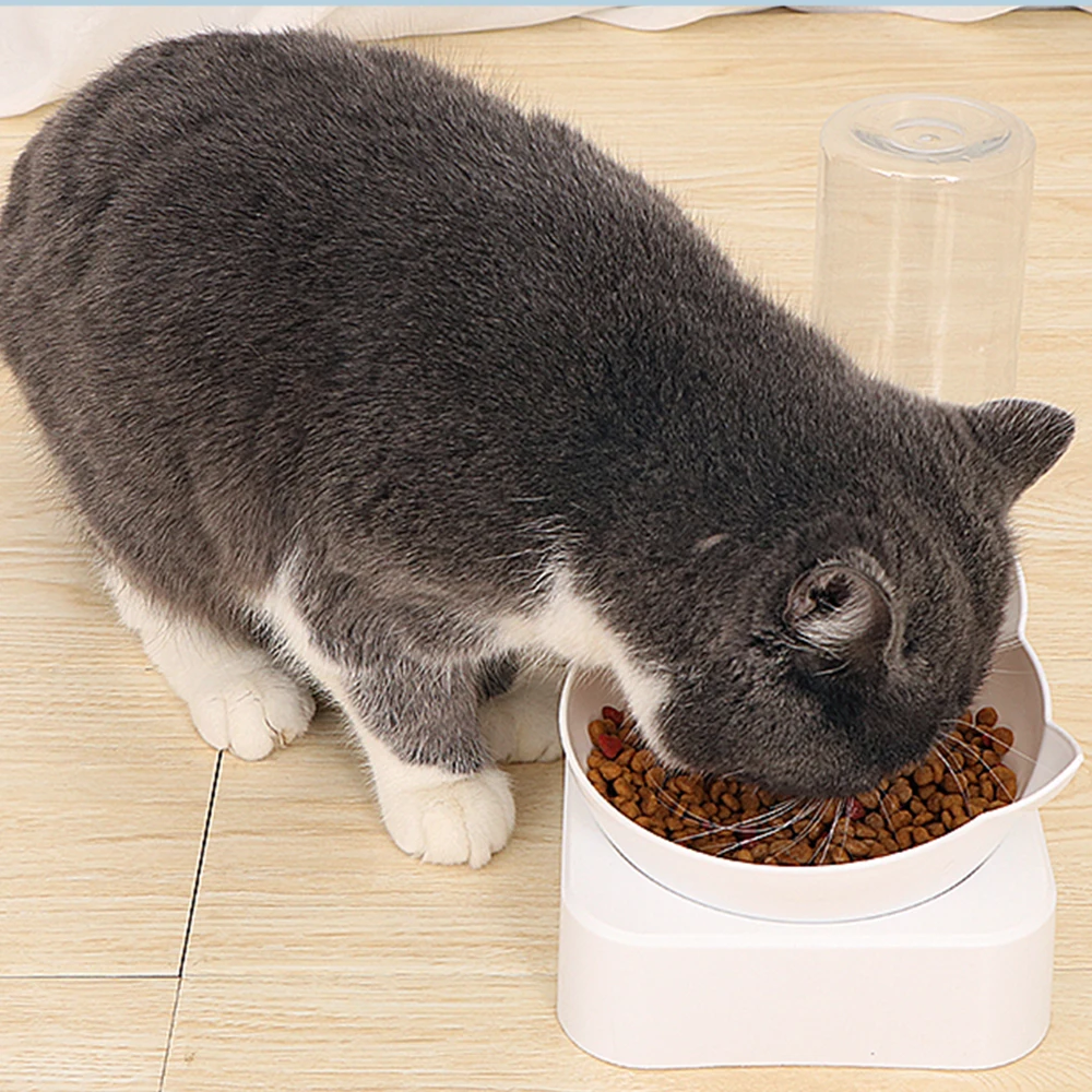 Двойной Порты и разъёмы миска для кормления домашних животных Пластик двойной