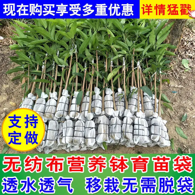 

100 Pcs Different Sizes Biodegradable Non-woven Nursery Bags Plant Grow Bags Fabric Seedling Pots Eco-Friendly Planting G322