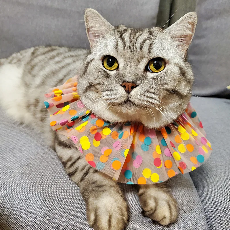 

Pet Bibs Cat Kitten Flower Lace Bow Bell Collar String Bib Colorful Necklace Neck Strap Fashion Pet Neck Decor Macrame Collar