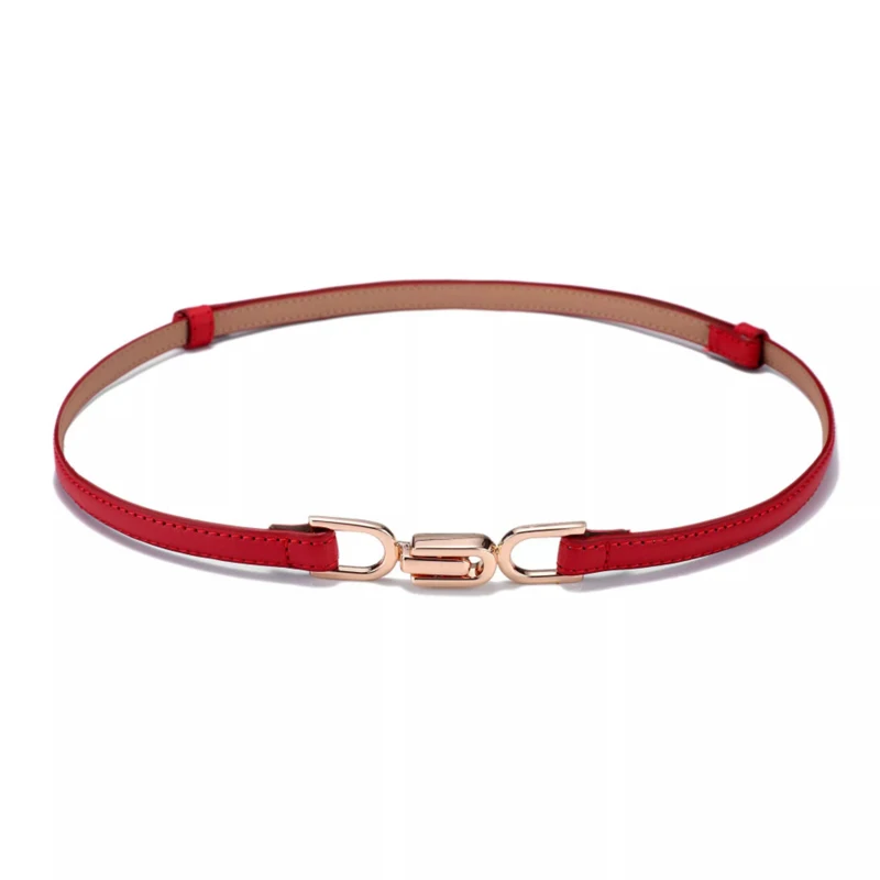 

2020 New pair buckle Women belt fashion corset dress Genuine leather belts adjustable gold buckle female decorative waistband