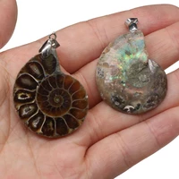 natural shell pendants charms pendants diy for necklace or jewelry making size 30x35 40x45mm