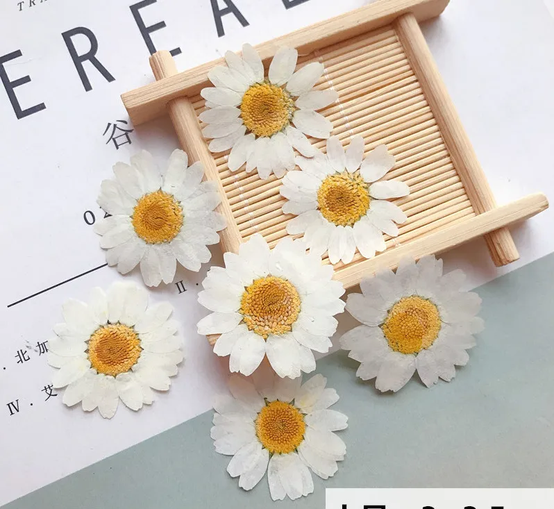 12 шт окрашенные белого цвета с украшением в виде кристаллов и принтом хризантем