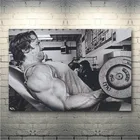 Арнольд Шварценеггер-Искусственная цитата, Шелковый постер с принтом для тренажерного зала, фитнеса, фотоальбом без рамки