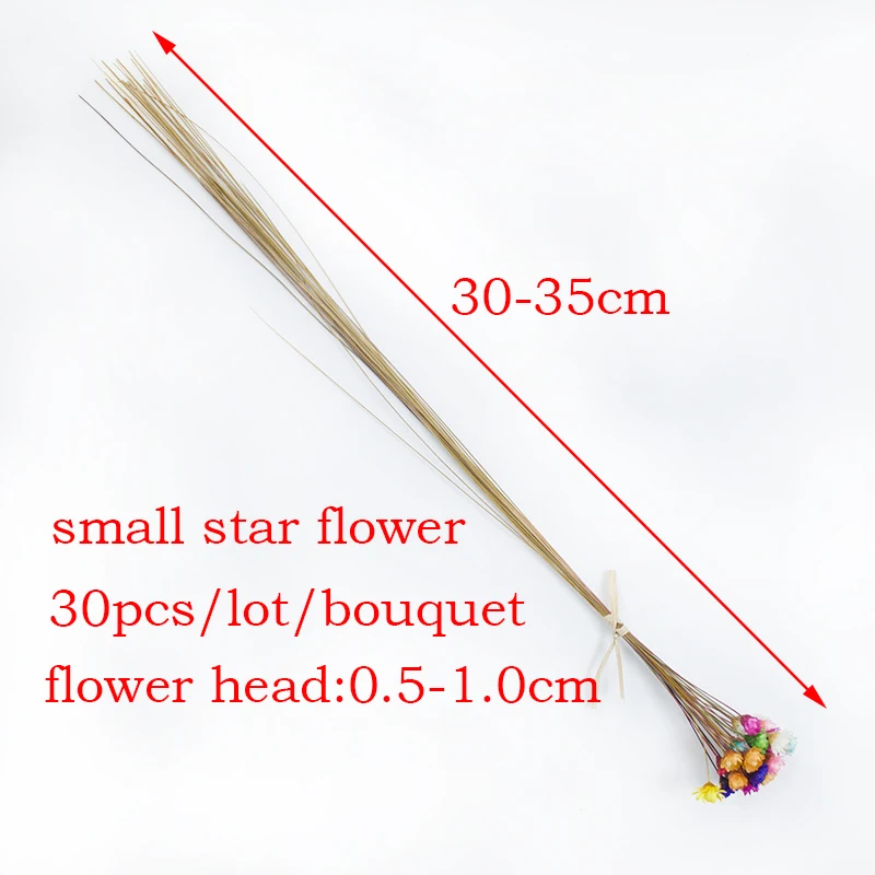 

30pcs Dried Flowers Mini Daisy Epoxy Resin Natural Flowers Bouquet Wedding Home Decoration Photography Photo Backdrop Decor