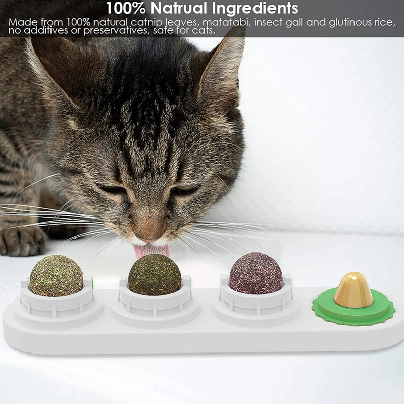 Мячи для зубов и кошачьей мяты съедобные игрушки кошек жевания безопасная