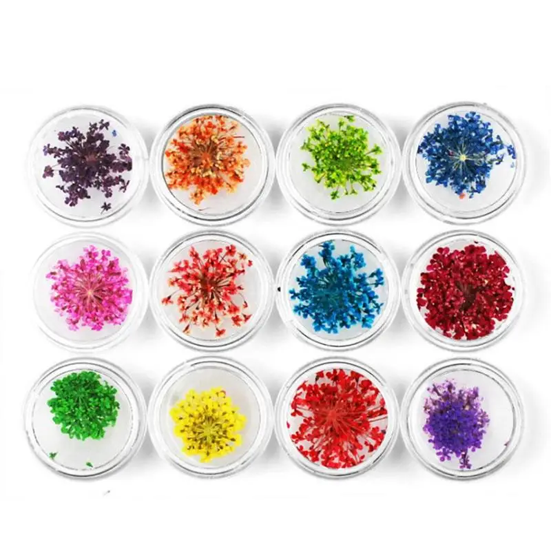 УФ-гель для ногтей набор из натурального сухого цветка с натуральным лепестком 3D