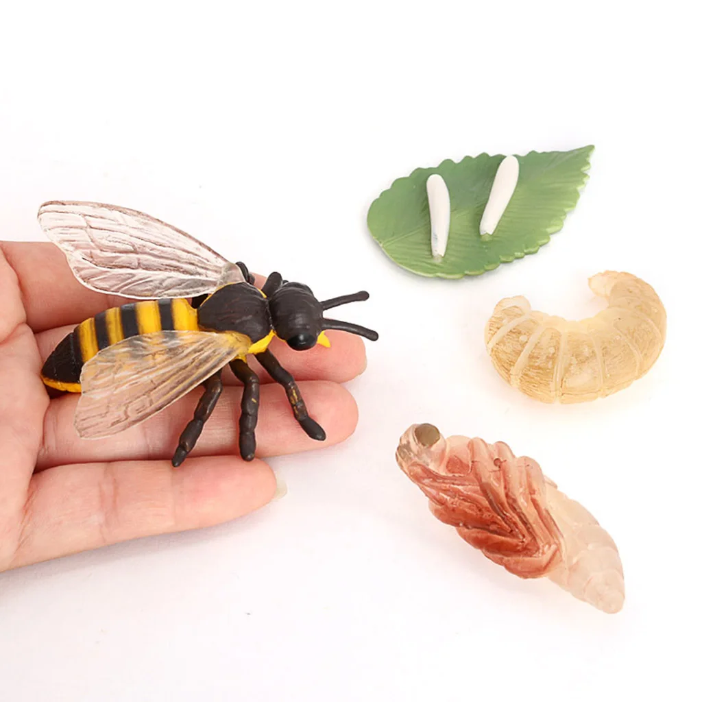

Kids Nature Insects Honey Bee Growth Cycle Playset Education Cognitive Biology Toys Themed Party