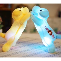 35cm plush dog doll with colorful led light glowing dogs embroidery children toys for girl kids birthday gift yyt221