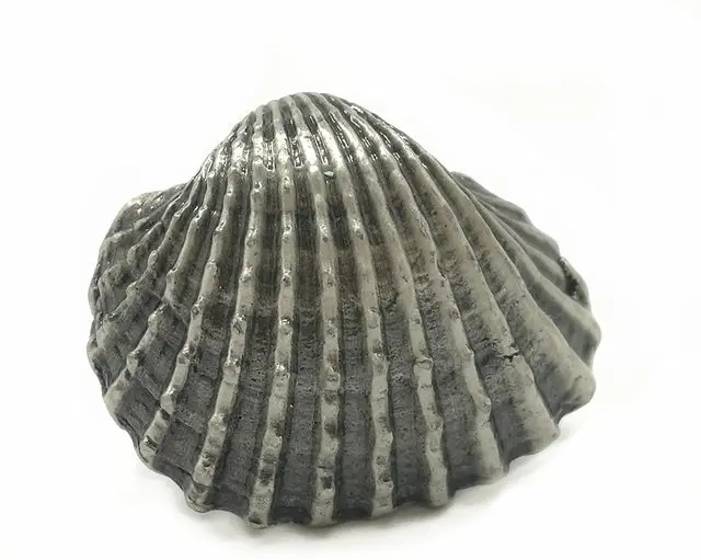 Рыба Морская звезда Ручка комода ручка круглые ручки для ящиков дверь кухонного