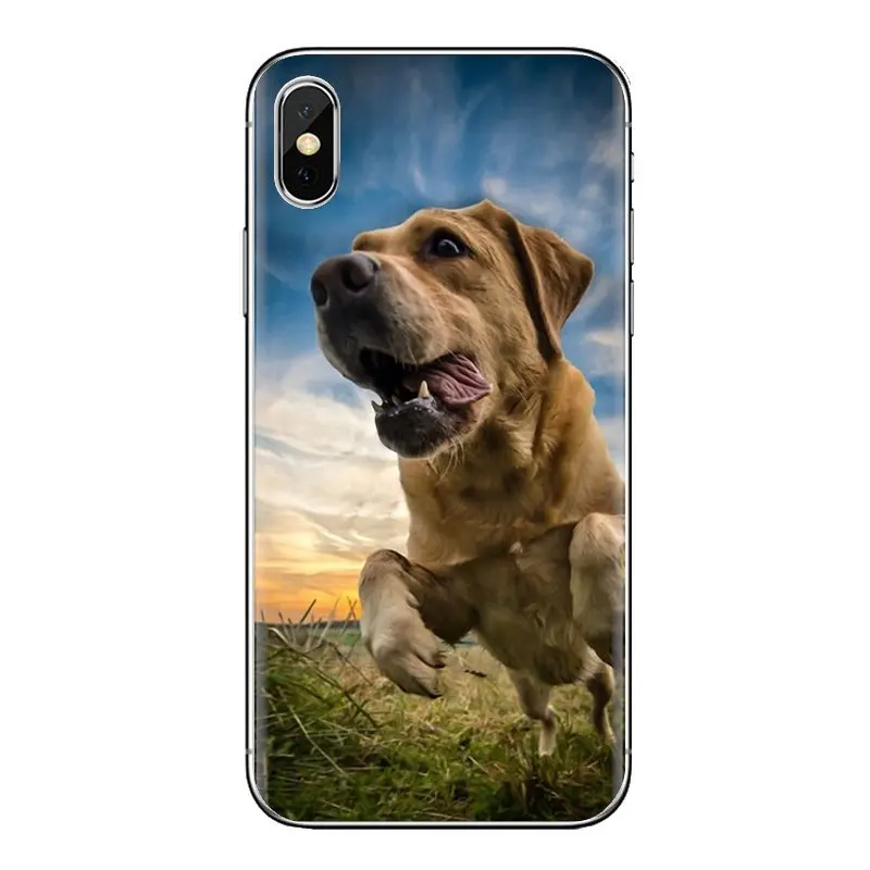 В ретривера Лабрадора собак из мягкой кожи Прочные прозрачные чехлы для Huawei NOVA 2 3