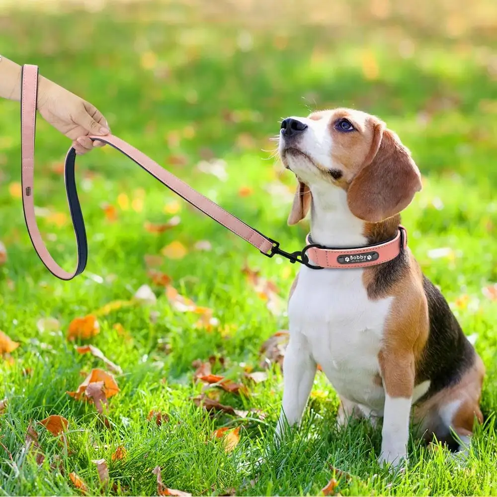 

Eddie Personalized dog collar and dog leash