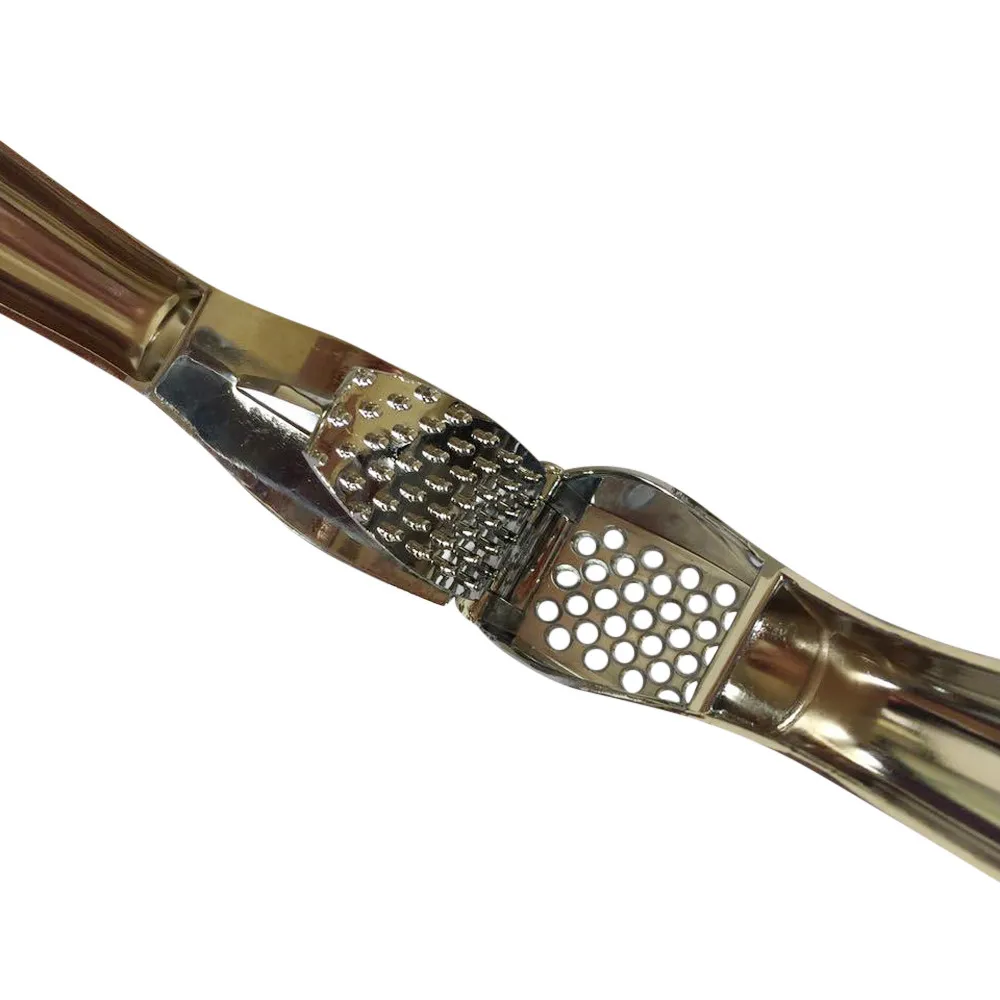 Мульти-функциональный чеснок Пресс шлифовальная Терка ручной пластический