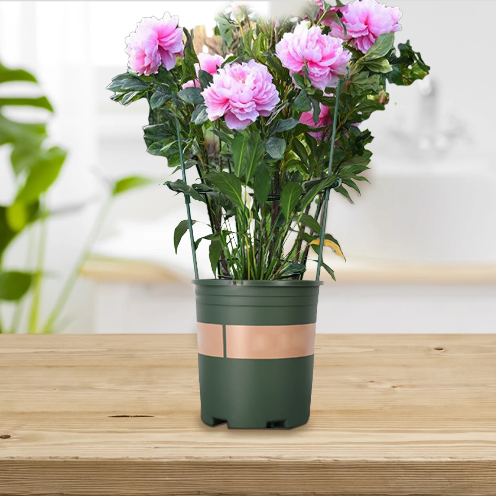 

3PCS Plant Support Stake T-shaped Plant Cages Supports Plastic Vine Climbing Stand Rack Potted Frame Connectors