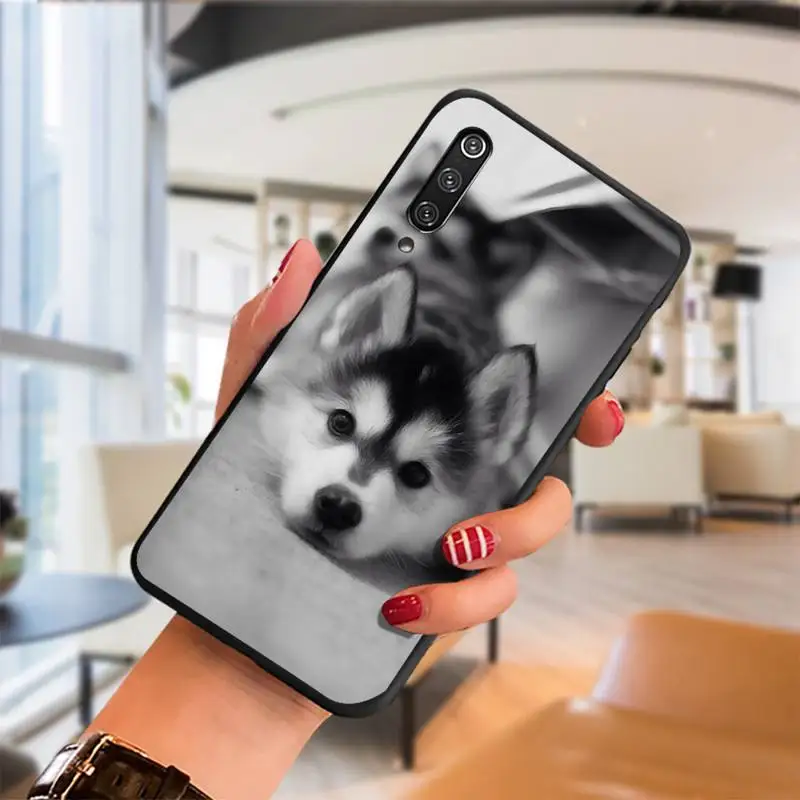 

Husky the cute pet dog Phone Case For Samsung S Note20 10 2020 S5 21 30 ultra plus A81 Cover Fundas Coque