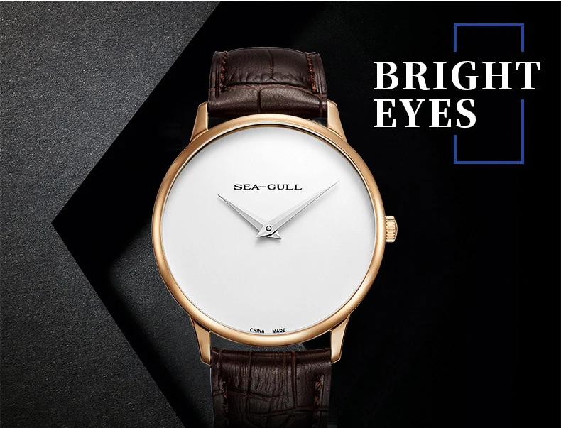 Seagull men's automatic mechanical watch simple dial watch double needle watch automatic watch men watches mens 819.18.6011