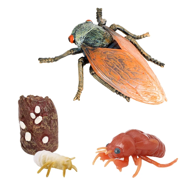 

4Pcs Cicada Toy Life Cycle Insect Growth Cycle Cicada Insect Farm Animal Growth Model Kids Cognitive Toy