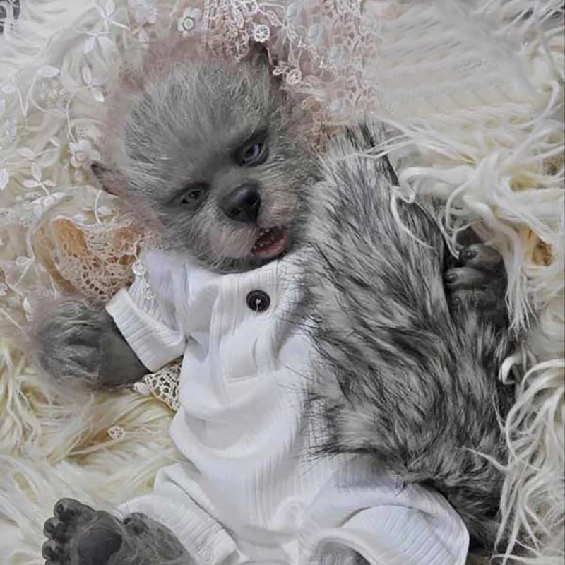 Комплект куклы Реборн 18 дюймов Lula Kane гибридная фея неокрашенные детали | Игрушки