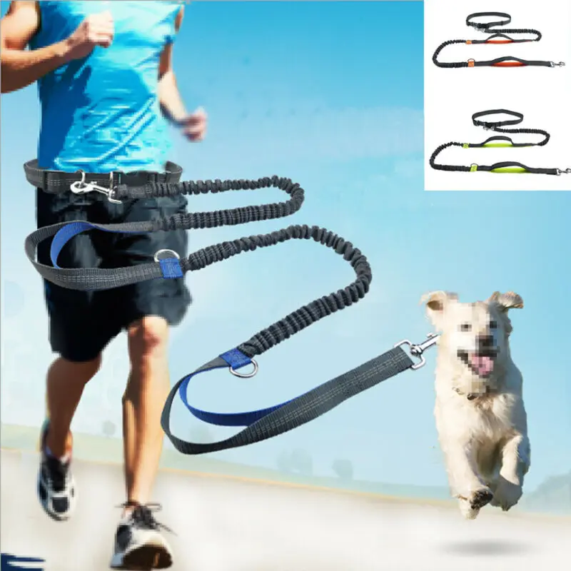 

Reflective Leash Traction Rope Pet Dog Running Belt Elastic 2021 New Hands Freely Jogging Pull Dog Leash Metal D-ring Leashes